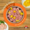 Chicken & Mango Raw 1kg - Box of 12 - Image 2