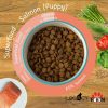 Legacy Superfood 65 - Scottish Salmon (Fish) - Puppy 12kg - Image 2