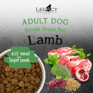 Legacy Superfood 65 - British Grass-Fed Lamb - Adult 12kg