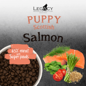 Legacy Superfood 65 - Scottish Salmon (Fish) - Puppy 12kg