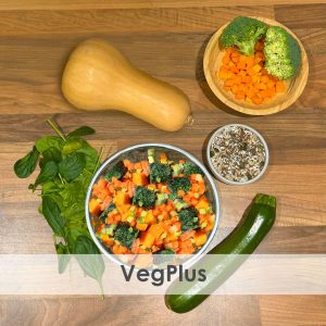 A bowl of raw dog food with courgette, Broccoli, pumpkin, spinach, butternut squash