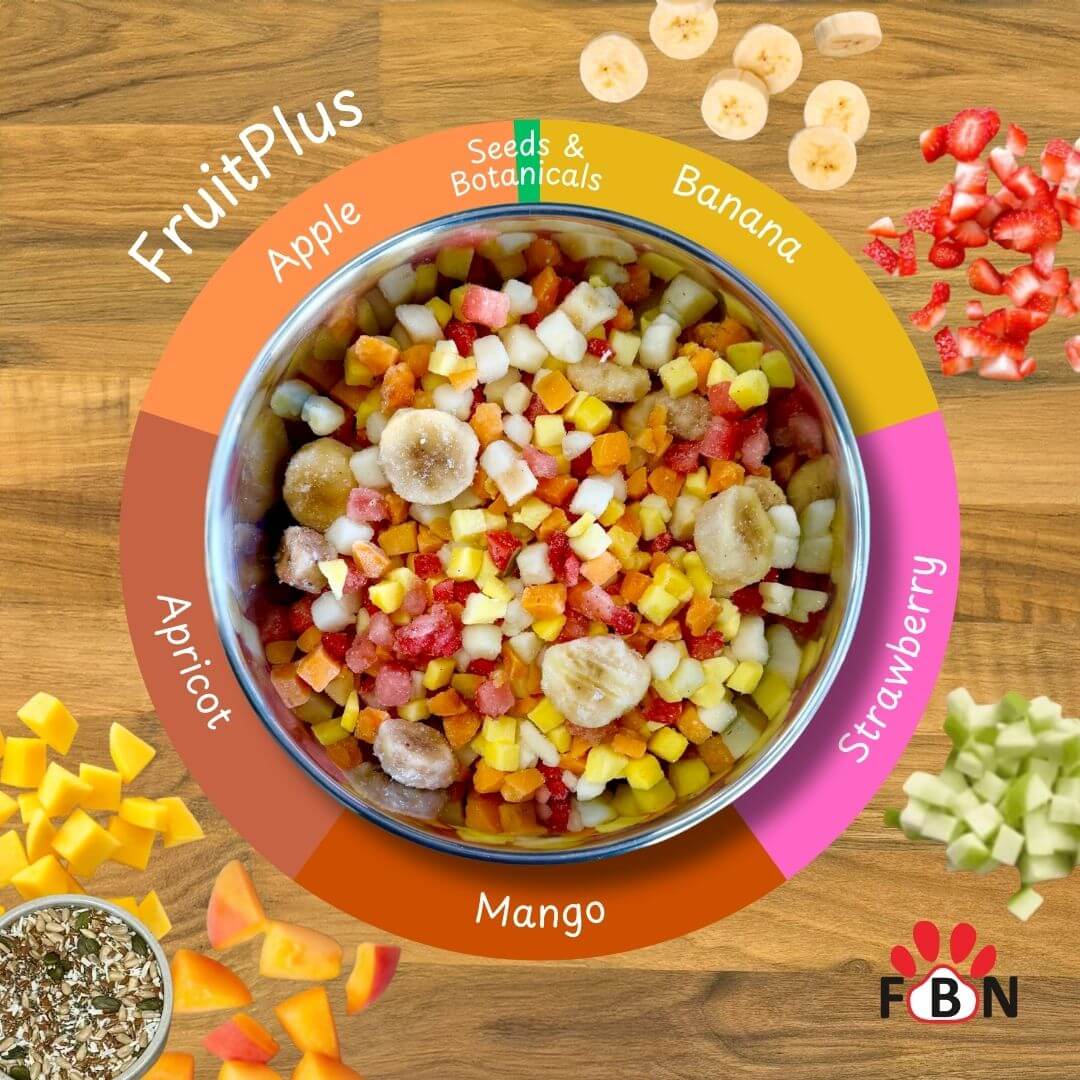 FruitPlus - Raw 1kg Box of 12 - Image 2