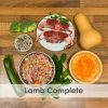 A bowl of raw dog food with lamb, courgette, Broccoli, pumpkin, spinach, butternut squash