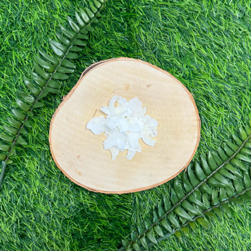 Coconut Chips 100g Pouch - Image 2