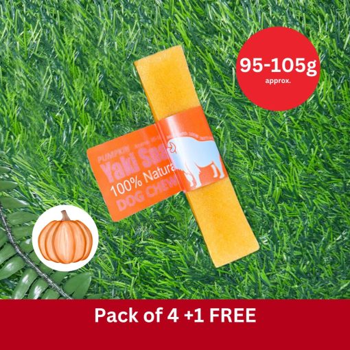 Yaki Snak Medium Pumpkin - 90g -105g (3oz) Pack of 4 + 1 FREE
