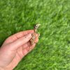 Freeze Dried Whole Quail - Image 3