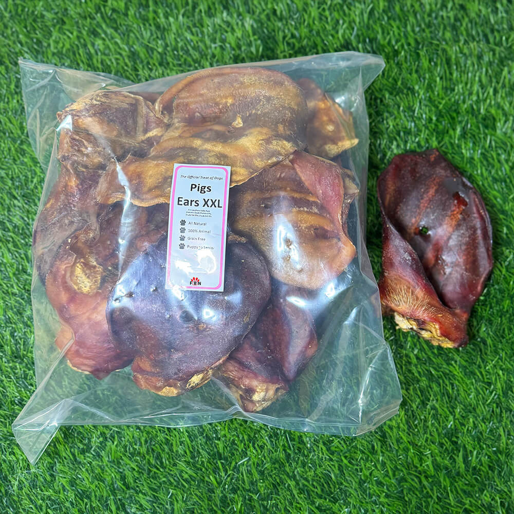 Pigs Ears - XXL (Sows) - Image 2