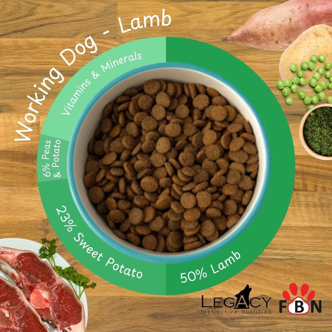 Legacy Grain Free Sensitive - Lamb - Image 2