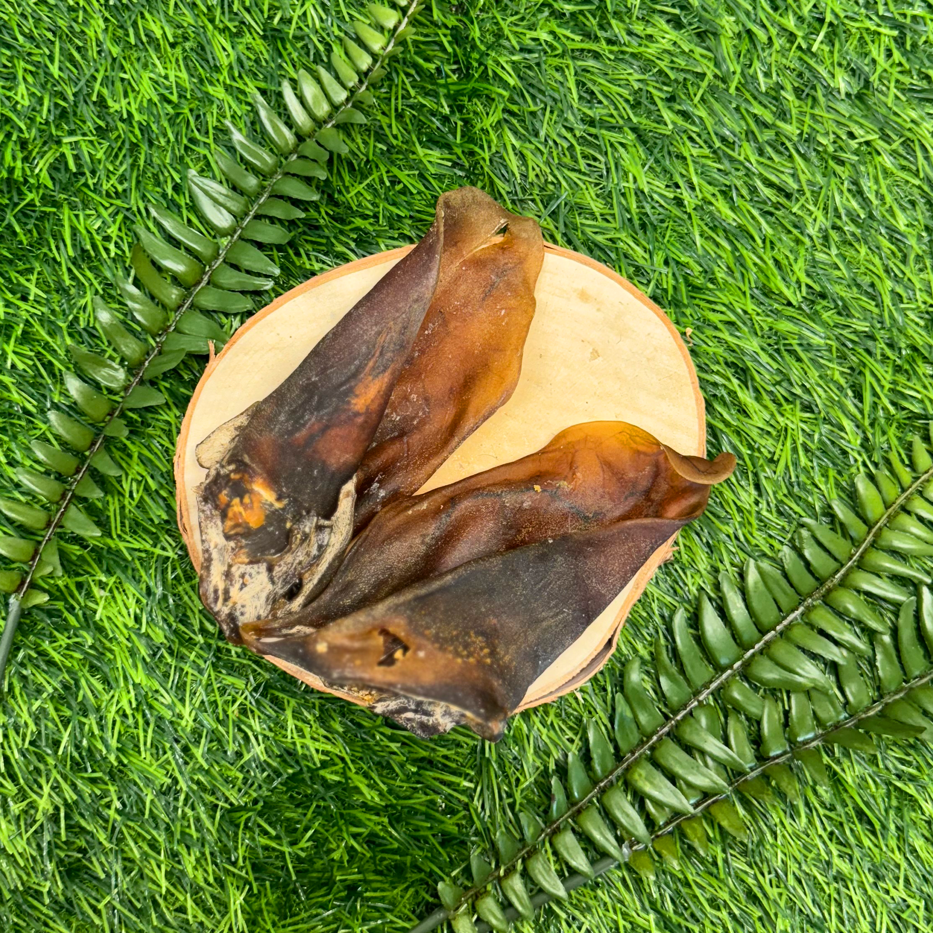 Cows Ears (Beef) - Image 3