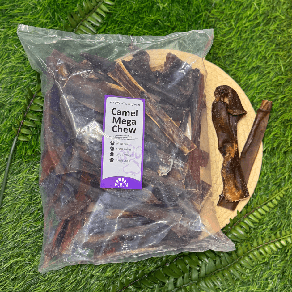 Camel Mega Chew - Image 2