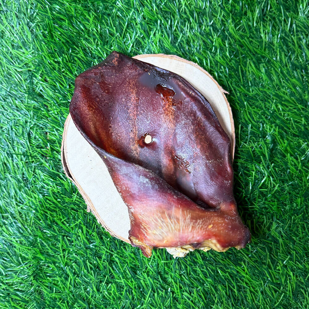 Pigs Ears - XXL (Sows) - Image 3