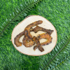 Chicken Necks - Image 3