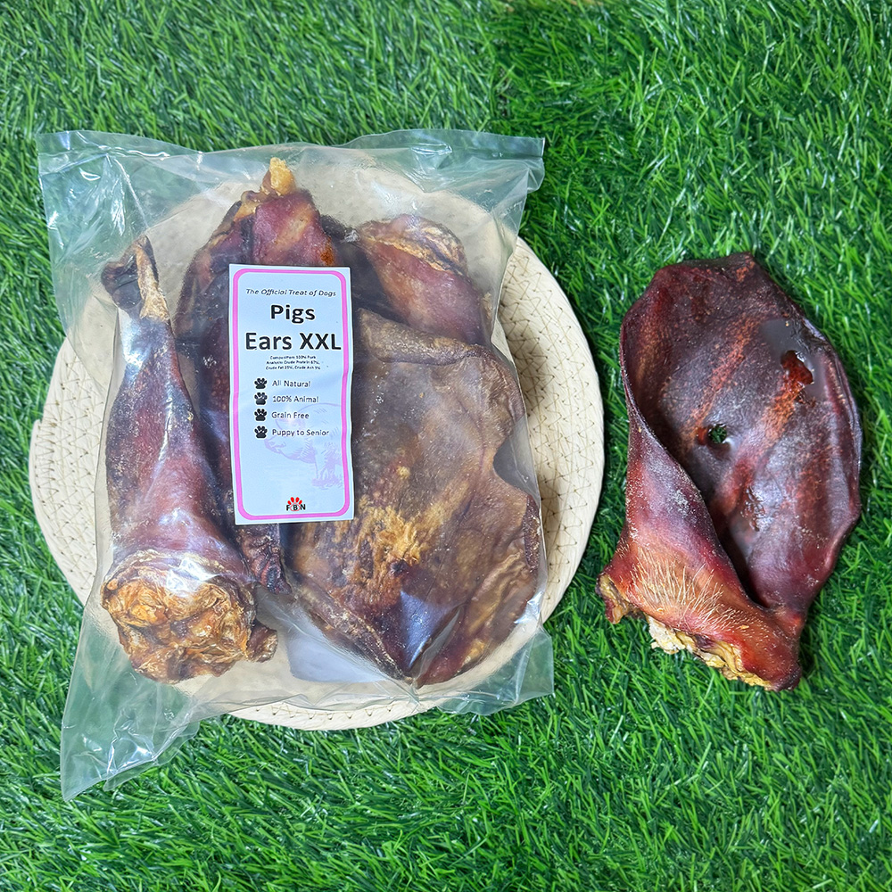 Pigs Ears - XXL (Sows)