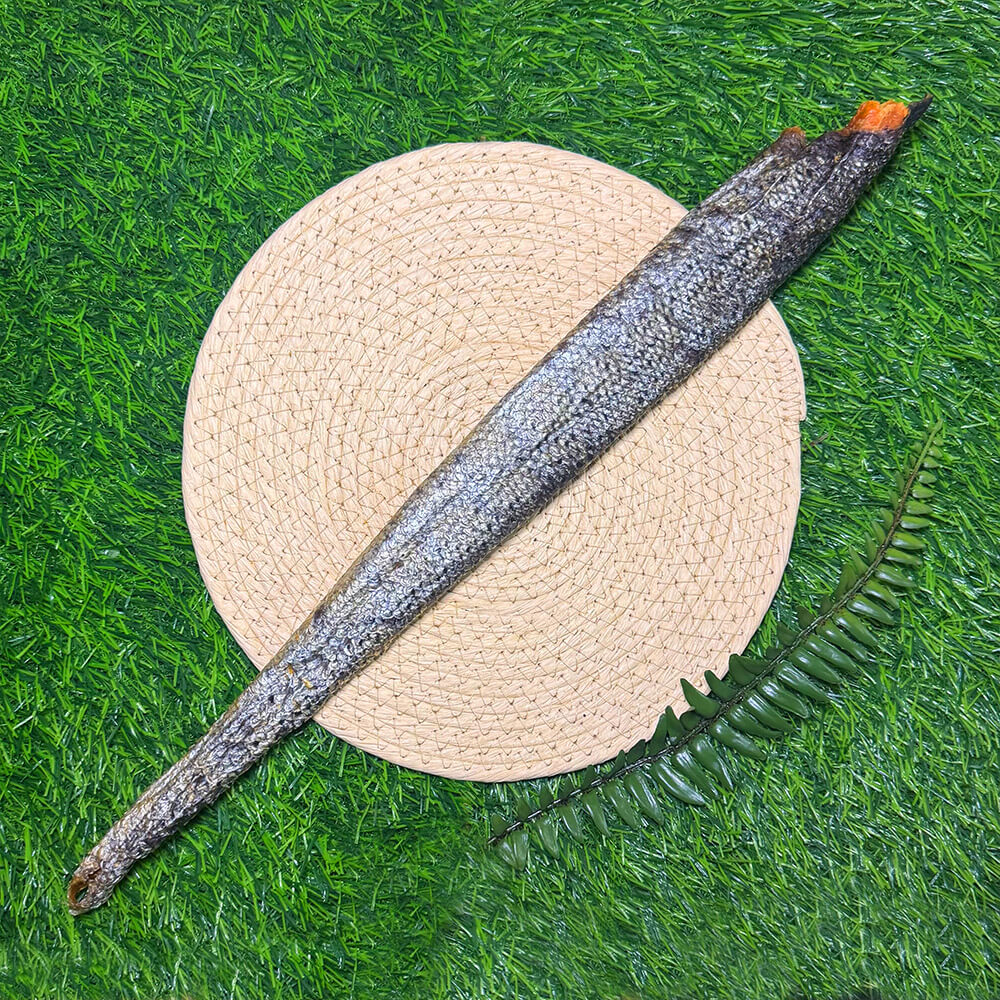 Salmon Skin with Meat (Fish) - Long (50-60cm)
