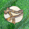 Duck Necks - Image 3