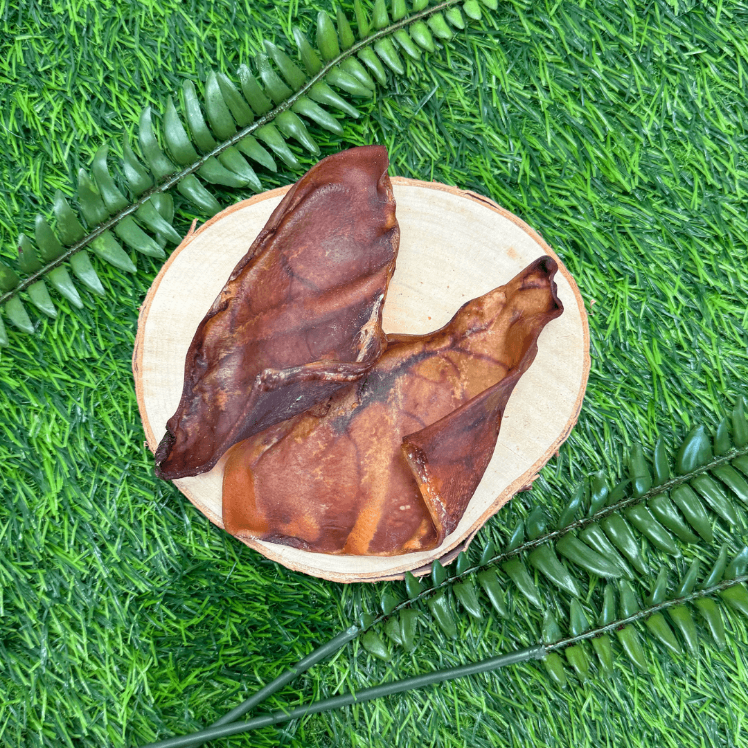 Pigs Ears - Regular - Image 3