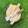 Rabbit Ears with Fur - Image 4