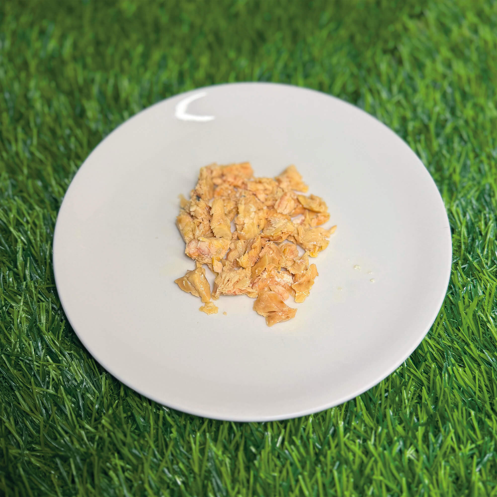 Fish Fillets in Oil - Salmon 30g