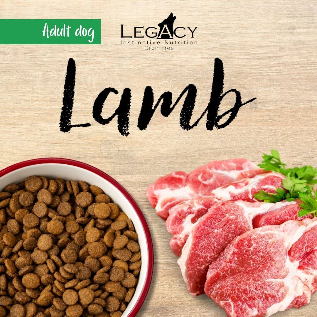 Legacy Grain Free Sensitive - Lamb