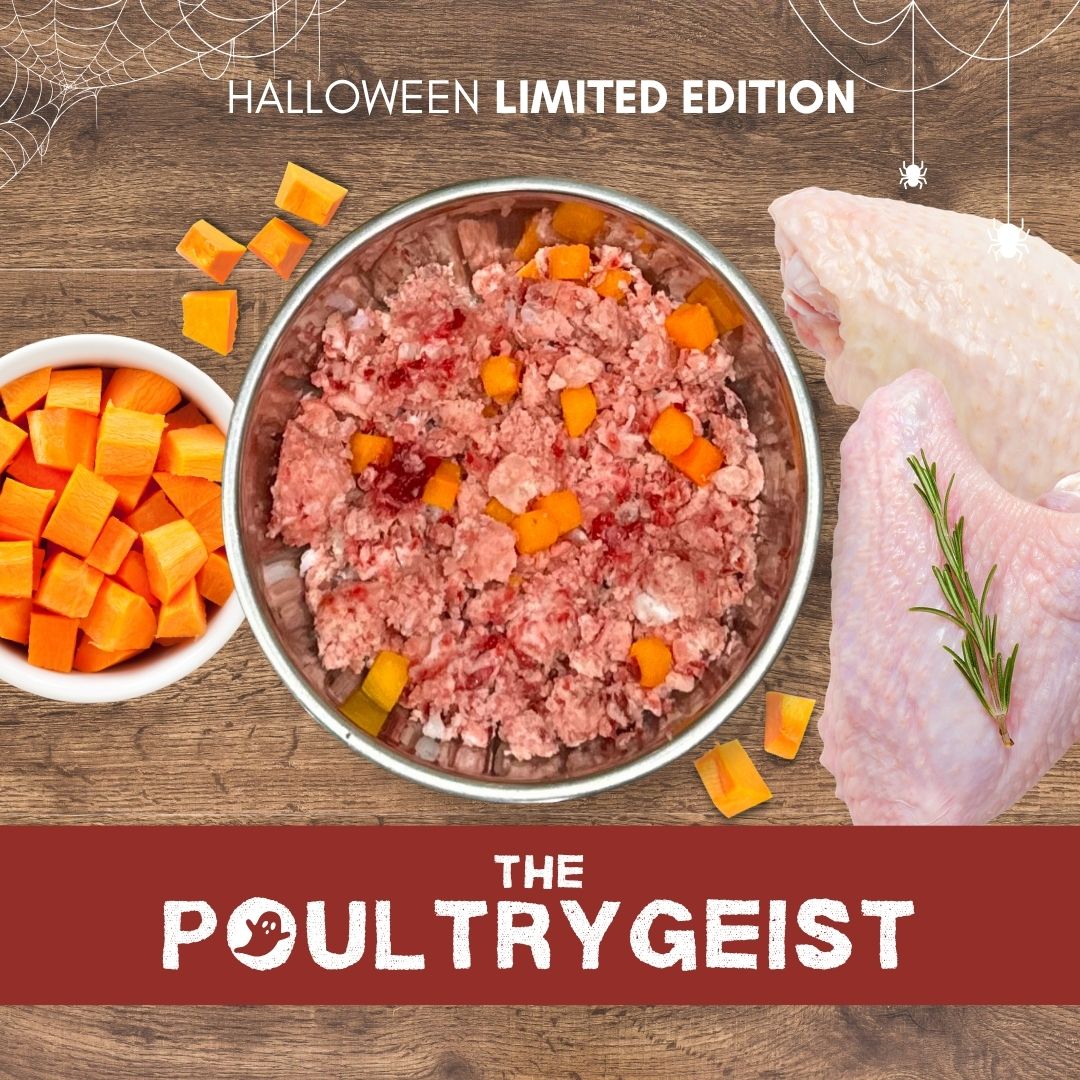 The Poultrygeist Raw 1kg Box of 12 - Halloween Limited Edition